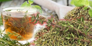 Hamilelikte kekik çayı içilir mi?