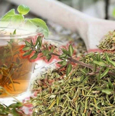 Hamilelikte kekik çayı içilir mi?