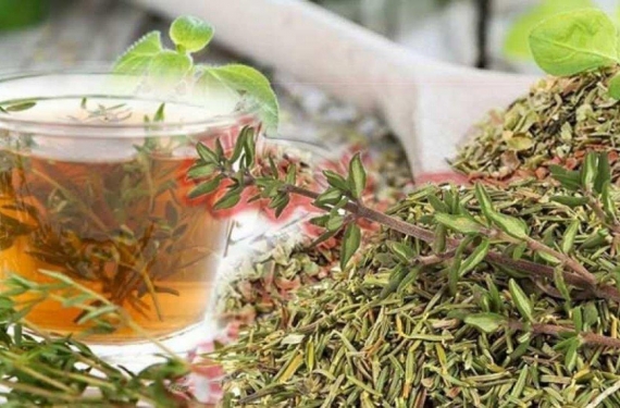 Hamilelikte kekik çayı içilir mi?