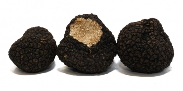 Trüf Mantarı Ne İşe Yarar?