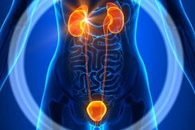 İdrar Yolu Enfeksiyonu Nedir?