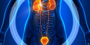 İdrar Yolu Enfeksiyonu Nedir?