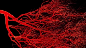 Yüzde Kılcal Damarlar Neden Oluşur?