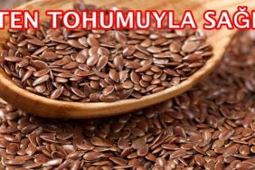 Keten Tohumunun Faydaları