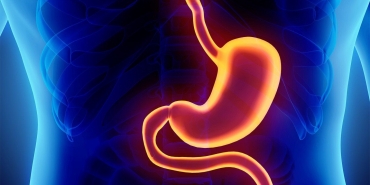 Mide bozulmasına ne iyi gelir?