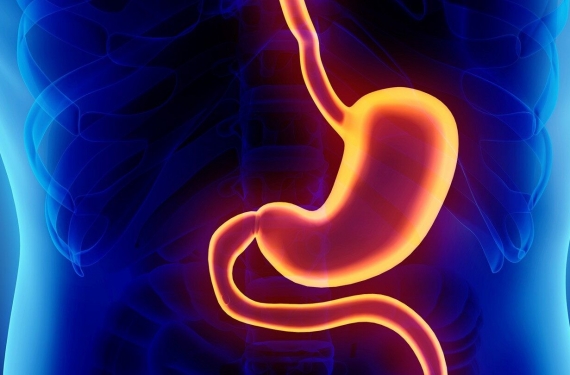 Mide bozulmasına ne iyi gelir?