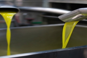 Filtresiz Zeytinyağı Nedir?