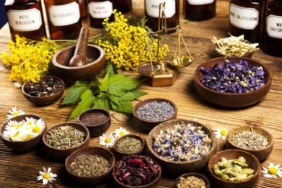 Fitoterapi ile Kanser Tedavisi