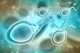 Erkeklerde Sperm Nereden Gelir?