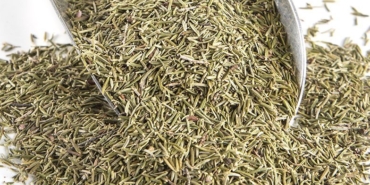 Funda Yaprağı Çayının Faydaları