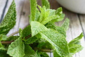 Hamilelikte Nane Yenir Mi?