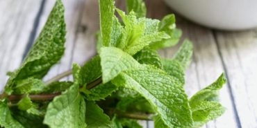 Hamilelikte Nane Yenir Mi?