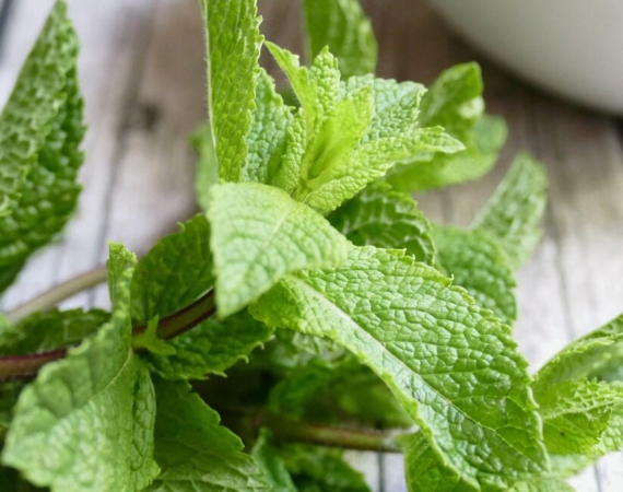 Hamilelikte Nane Yenir Mi?