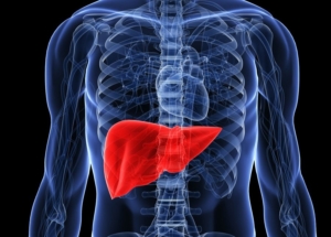 Karaciğer Yağlanması