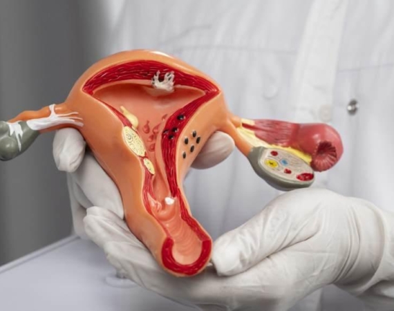 Kızlık zarı nedir?