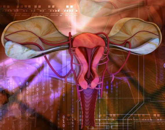 Rahim Duvarı Kalınlaşması Nedir?