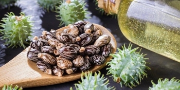 Hint Yağı Mucizesi: Cilt, Saç ve Tırnaklar İçin Doğal Bir İksir