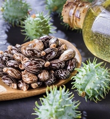 Hint Yağı Mucizesi: Cilt, Saç ve Tırnaklar İçin Doğal Bir İksir